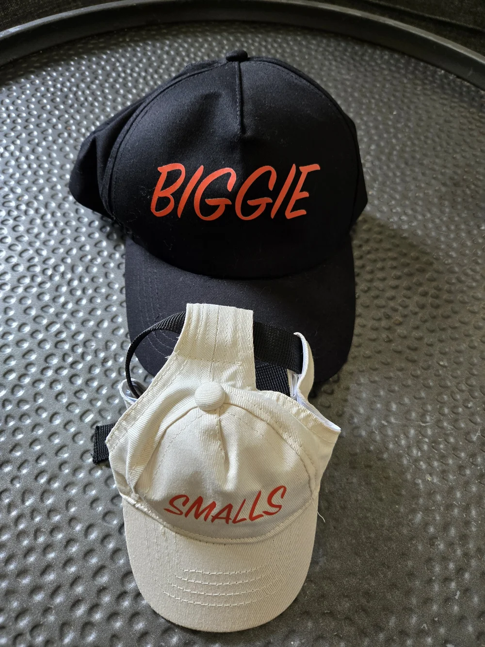 Biggie & Smalls Matching Hats For Small Dog And Owner - Black and Cream